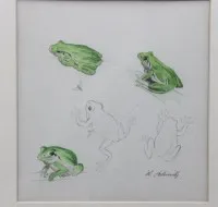 Study, tree frogs, signed H. Schmidt, framed/glass, frame size 30.5 x 28.5 cm