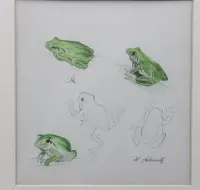 Study, tree frogs, signed H. Schmidt, framed/glass, frame size 30.5 x 28.5 cm