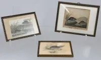 3 small engravings, animal motifs, probably Georges-Louis LECLERC DE BUFFON (1707-1788), each framed/glass, frame size approx. 9.5 x 12 cm