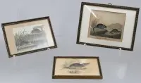 3 small engravings, animal motifs, probably Georges-Louis LECLERC DE BUFFON (1707-1788), each framed/glass, frame size approx. 9.5 x 12 cm