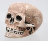 Briefbeschwerer in Form eine Totenkopfes, wohl Stuck, div. Abplatzer, ca. H-8cm L-11,5cm