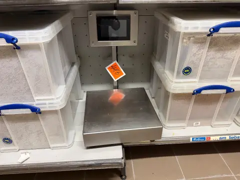 Scale (defective)
