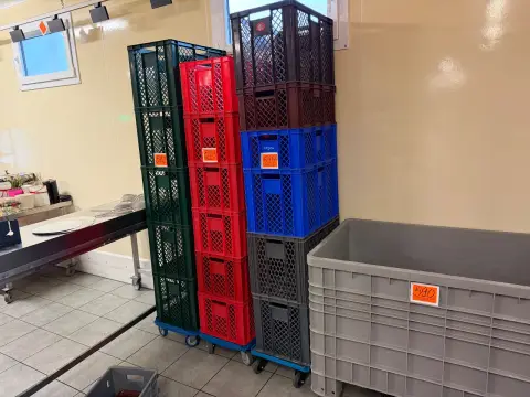 Partia koszyków z tworzywa sztucznego (6 sztuk)