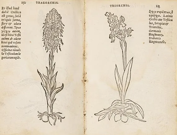 Rembertus Dodonaeus, Trium priorum de stirpium historia. Include: Posterium trium
