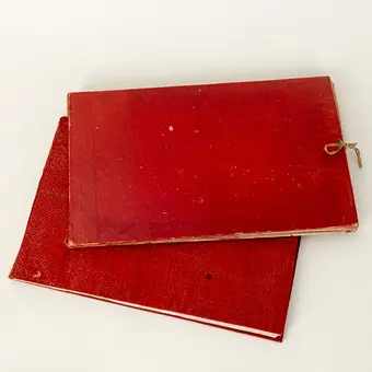 Twee mappen: Chinese Tsuso-schilderingen, 22 bladen, Kanton, rond 1900.