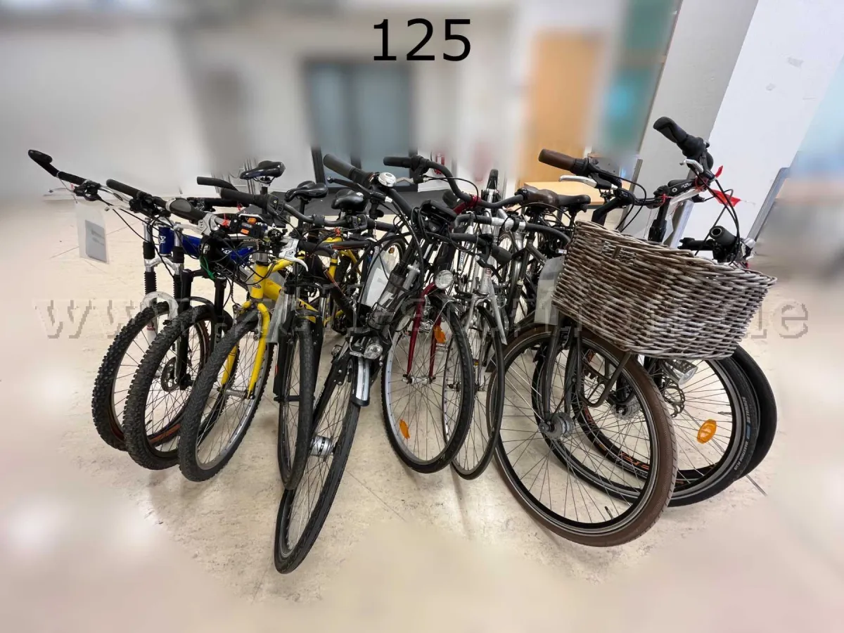 1 Pedelec und 9 Räder im Konvolut, verschiedene Arten und Marken