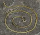 Halsketting – 585 geelgoud, 7,0 g, meanderbanddecoratie, L= ca. 39 cm, veerringsluiting