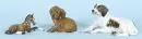 Figurines, 3 pièces - chien de chasse, chiot teckel et poulain "Rosenthal"