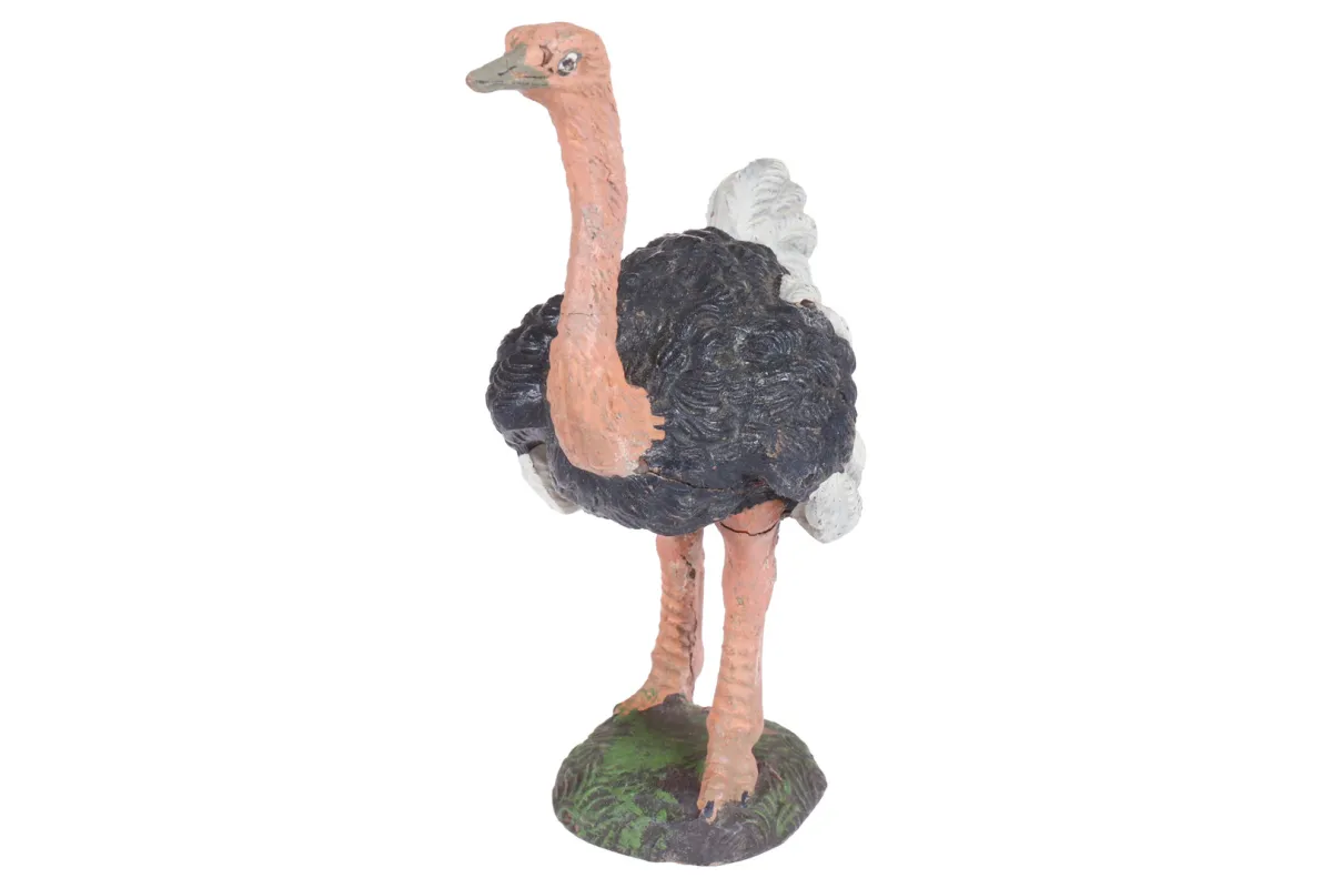 Lineol ostrich