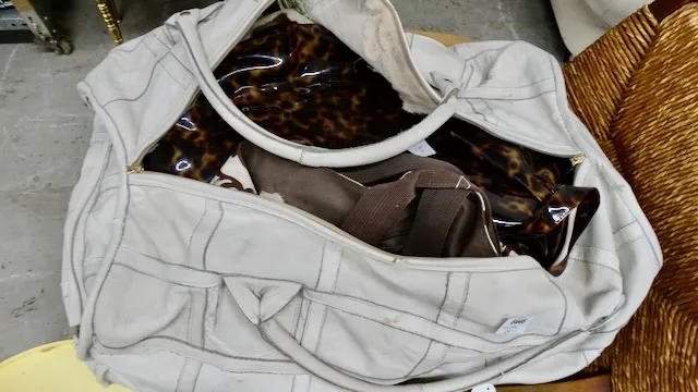 1 lot of bags