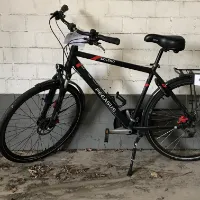 Men's bicycle (Pegasus)