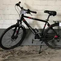Men's bicycle (Pegasus)