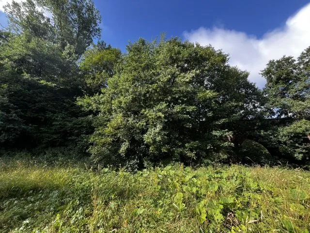 Pozemky bez smlouvy asi 25 km od trojmezí Rhön - Bavorsko-Hesensko-Durynsko