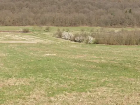 Dřevinný pás v okrese Saarlouis