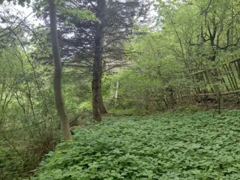 Smlouvou nezatížená přírodní plocha mezi rekreačními pozemky se starší zástavbou jihozápadně od hradu Camburg