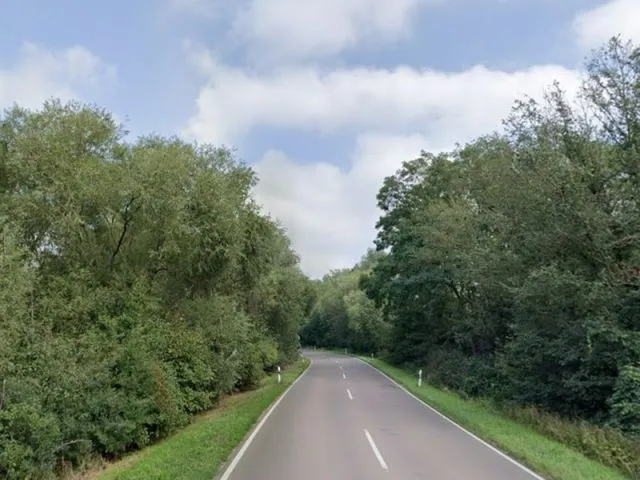 Pozemky podél silnice, převážně porostlé dřevinami, u L184