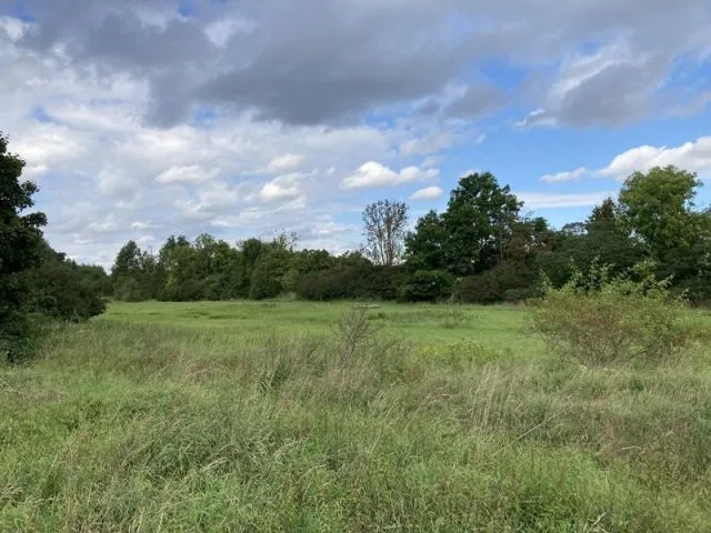 Zemědělský pozemek za zahrádkářskou kolonií jihovýchodně od Halle (Saale)