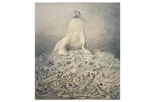 Ukendt kunstner - Søløven