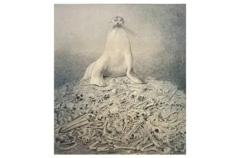 Artista sconosciuto - Il leone marino