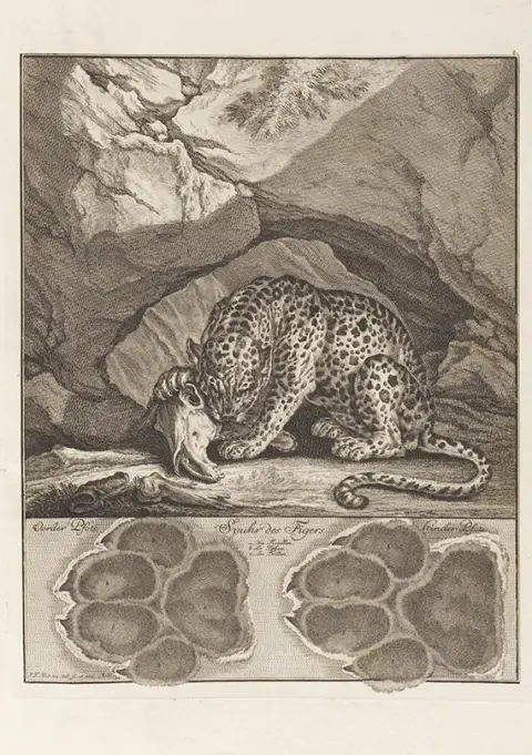 Johann Elias Ridinger, Abbildung der jagtbaren Thiere