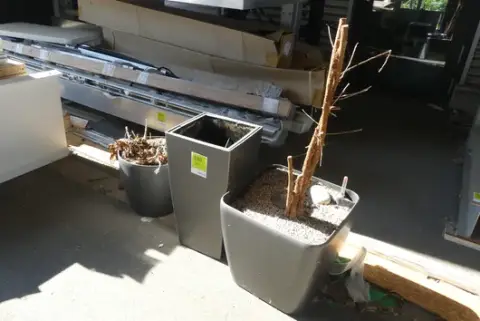 3 قطع أصيص زرع