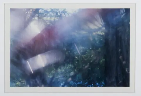 Arnulf Rainer, signé à la main en bas à droite, Baden bei Wien 1929 – 2025 Enzenkirchen, « Garten », photographie, 2/2, 33 x 50 cm, bruni