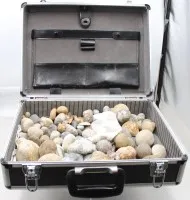 Koffert full av forsteininger, trolig hovedsakelig strandfossiler