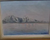 Richard GOESSLER (1873-1946) (18)95,M.,《岸边村庄全景的海岸场景》瑞士?油画/亚麻布,带框,RG 38x48 cm