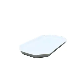 Rosenthal 瓷质托盘