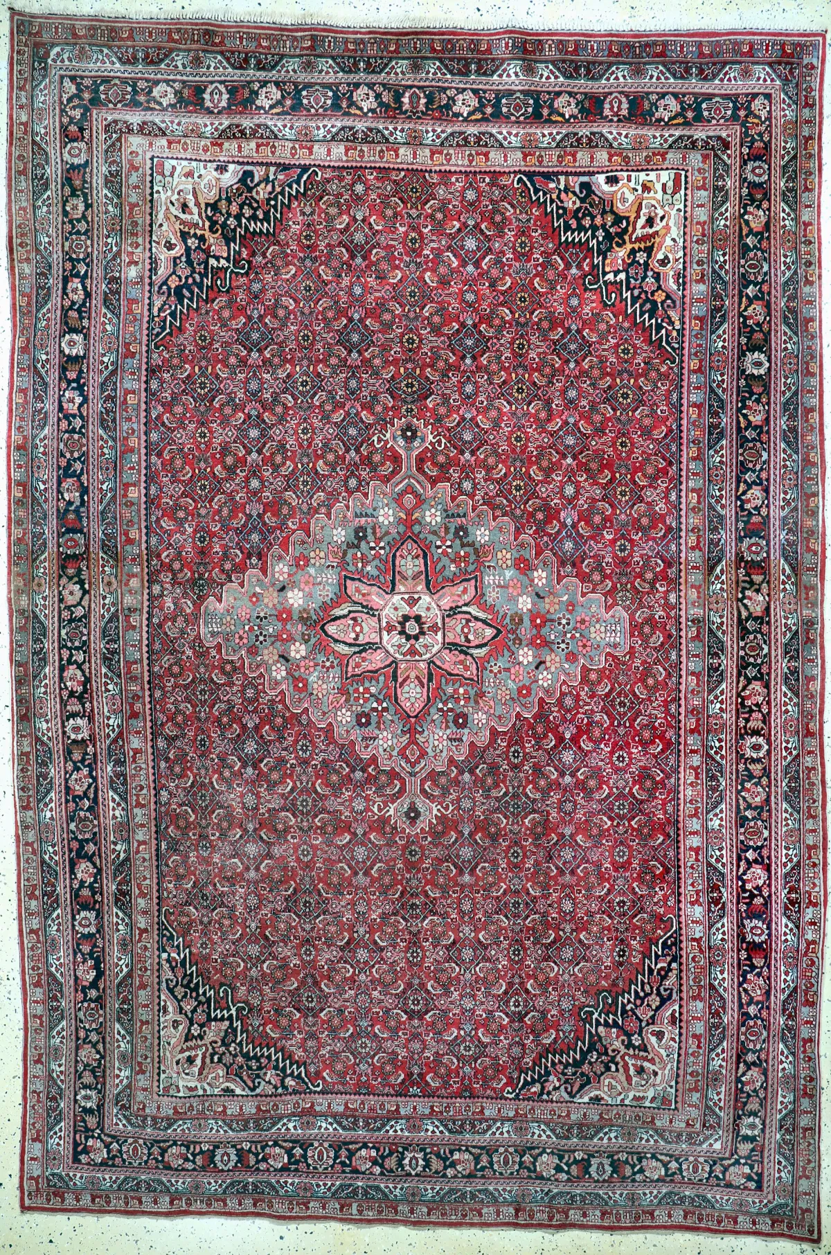 Bidjar 古董，波斯，20世纪初，羊毛配棉底，约333 x 225厘米，褪色