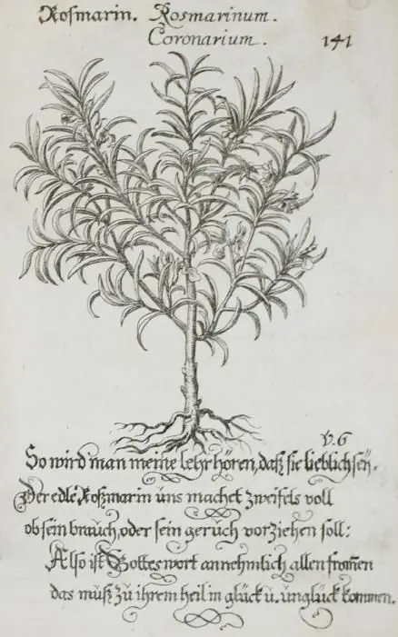 (Hohberg,W.H.v.). – Die mit Teutschen Saiten überzogene, Heilige Kron-Harffe; oder Verfassung des ganzen Psalter Davids in Teutsch