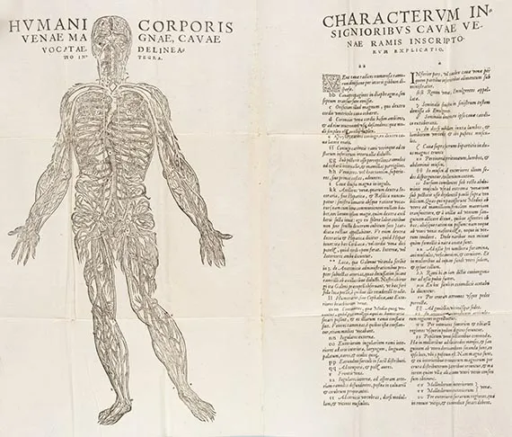 Taddeo Duno, Nova constitutio artis revellendi