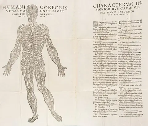 Taddeo Duno, Nova constitutio artis revellendi