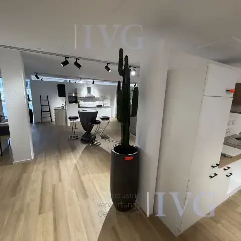 Plastic cactus