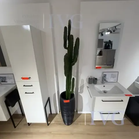 Plastikkaktus
