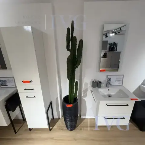 Plastikkaktus
