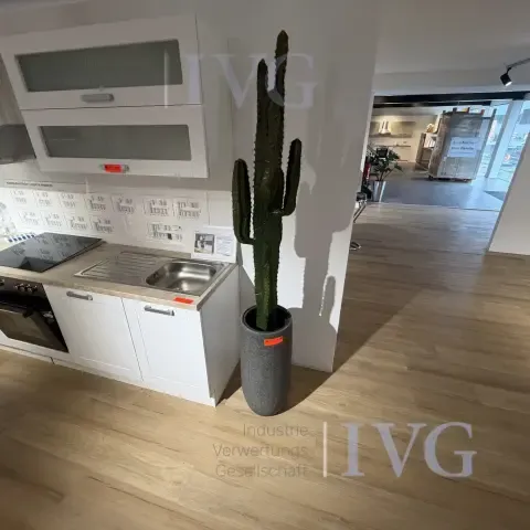 Cactus de plástico
