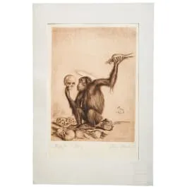 „Encefalocranioscopia (esame del cranio cerebrale)”, Richard Müller (Tschirnitz presso Karlsbad 1874–1954 Dresden-Loschwitz), datato 1920