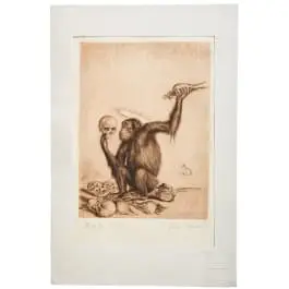 „Encefalocranioscopia (esame del cranio cerebrale)”, Richard Müller (Tschirnitz presso Karlsbad 1874–1954 Dresden-Loschwitz), datato 1920