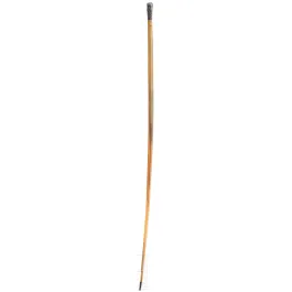 Small silver-mounted rhinoceros walking stick, China, 1920