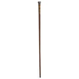 Walking stick with silver-mounted rhinoceros horn handle, circa 1910