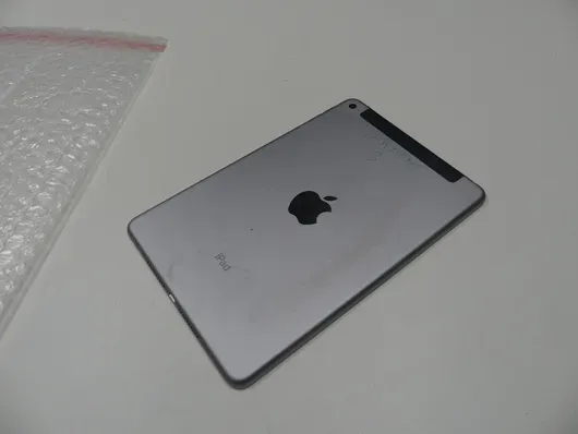 Apple - iPad mini 4 - 16 GB