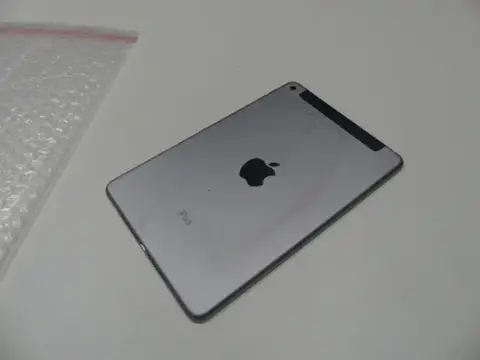 Apple - iPad mini 4 - 16 GB