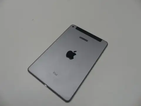 Apple - iPad mini 4 - 32 GB