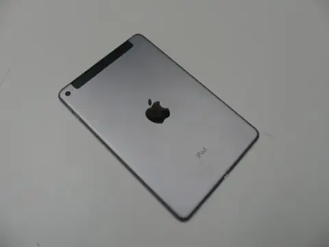 Apple - iPad mini 4 - 32 GB