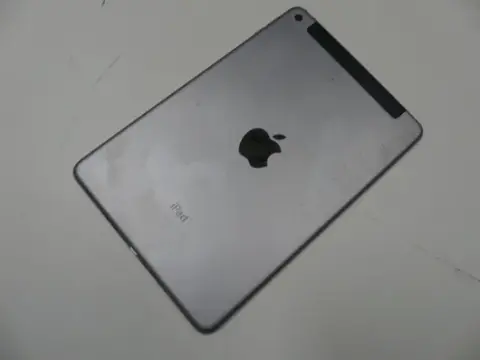 Apple - iPad mini 4 - 32 GB