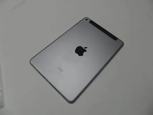 Apple - iPad mini 4 - 32 GB