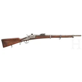 OEWG Mod. M 1873 Kurzgewehr