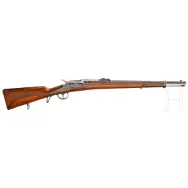 Fusil de corps franc OEWG M 1873/77