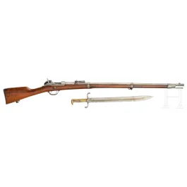 Werder-gevær M 1869, OEWG, ny model, 1876